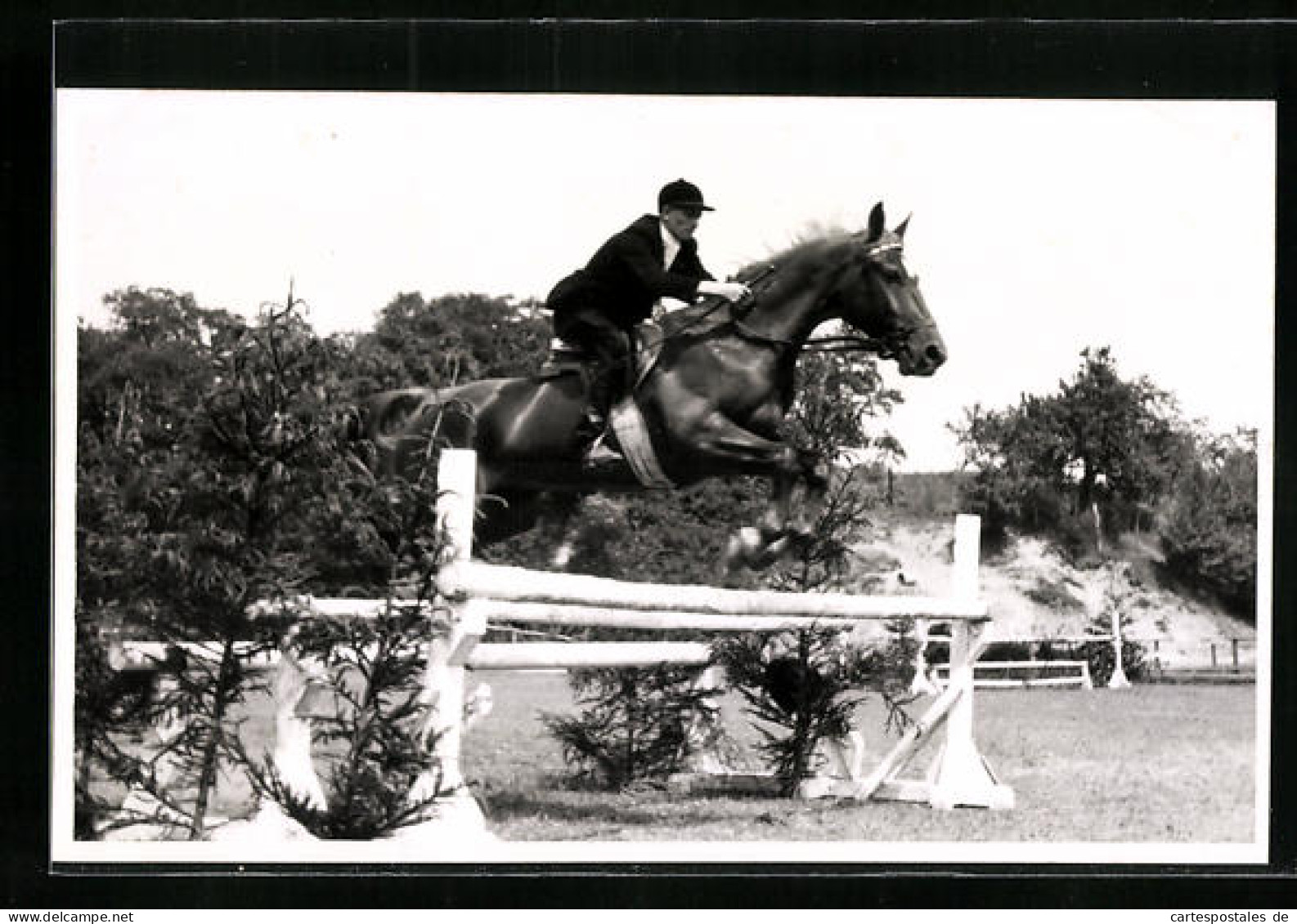 Foto-AK Springreiter Beim Sprung über Stangen-Hindernis  - Hippisme