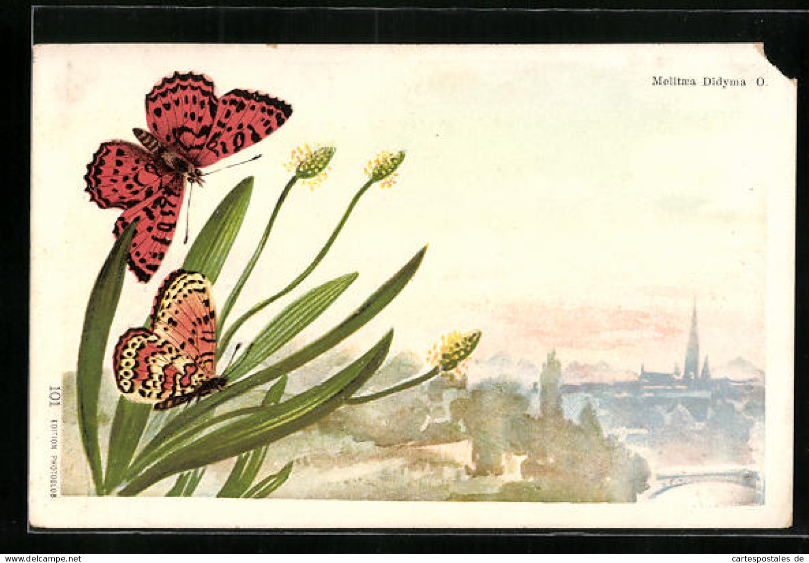 Künstler-AK Zwei Schmetterlinge Auf EinerPflanze, Mit Blick Auf Einen Ort  - Insekten