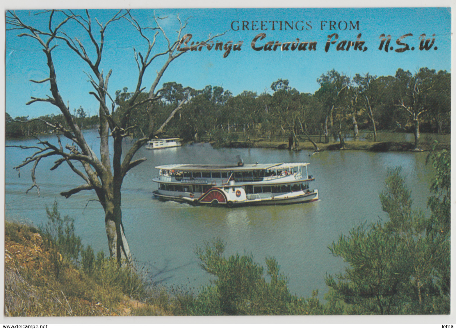 Australia VICTORIA VIC Paddle Steamer River Murray GOL GOL Rose No.1360 Postcard C1970s - Mildura