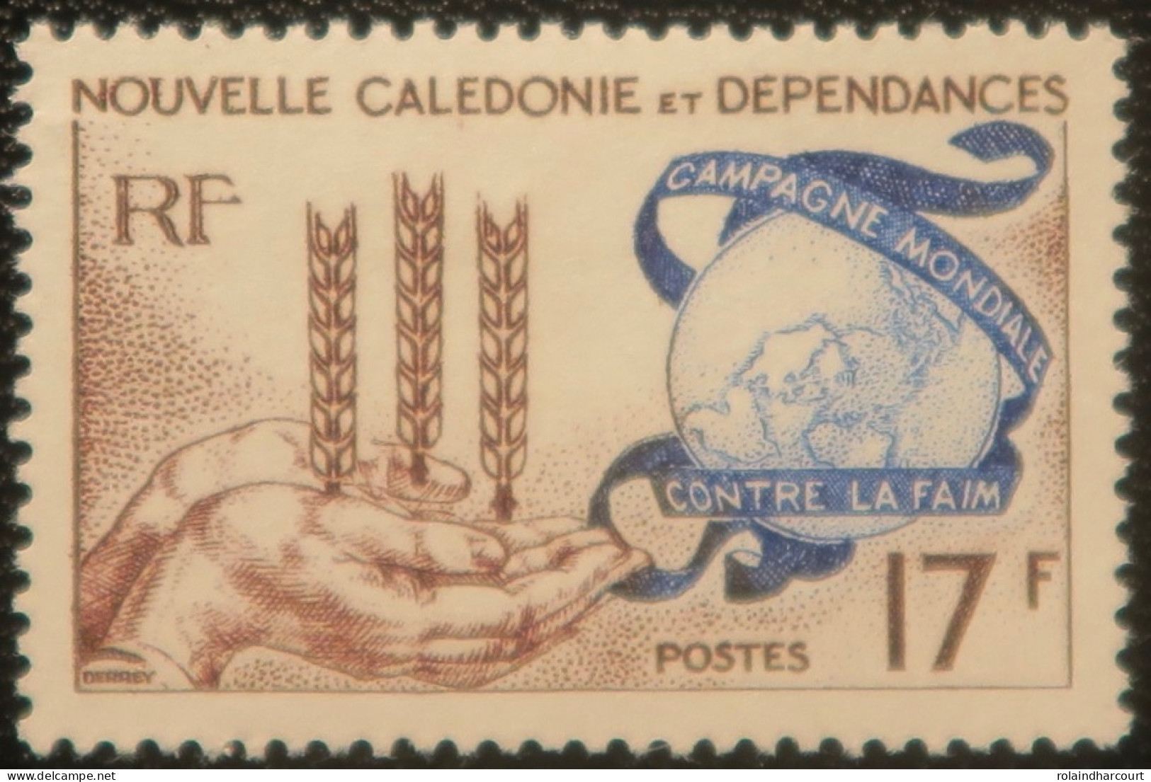 R2253/669 - NOUVELLE CALEDONIE - 1963 - Campagne Mondiale Contre La Faim - N°307 NEUF* - Ongebruikt