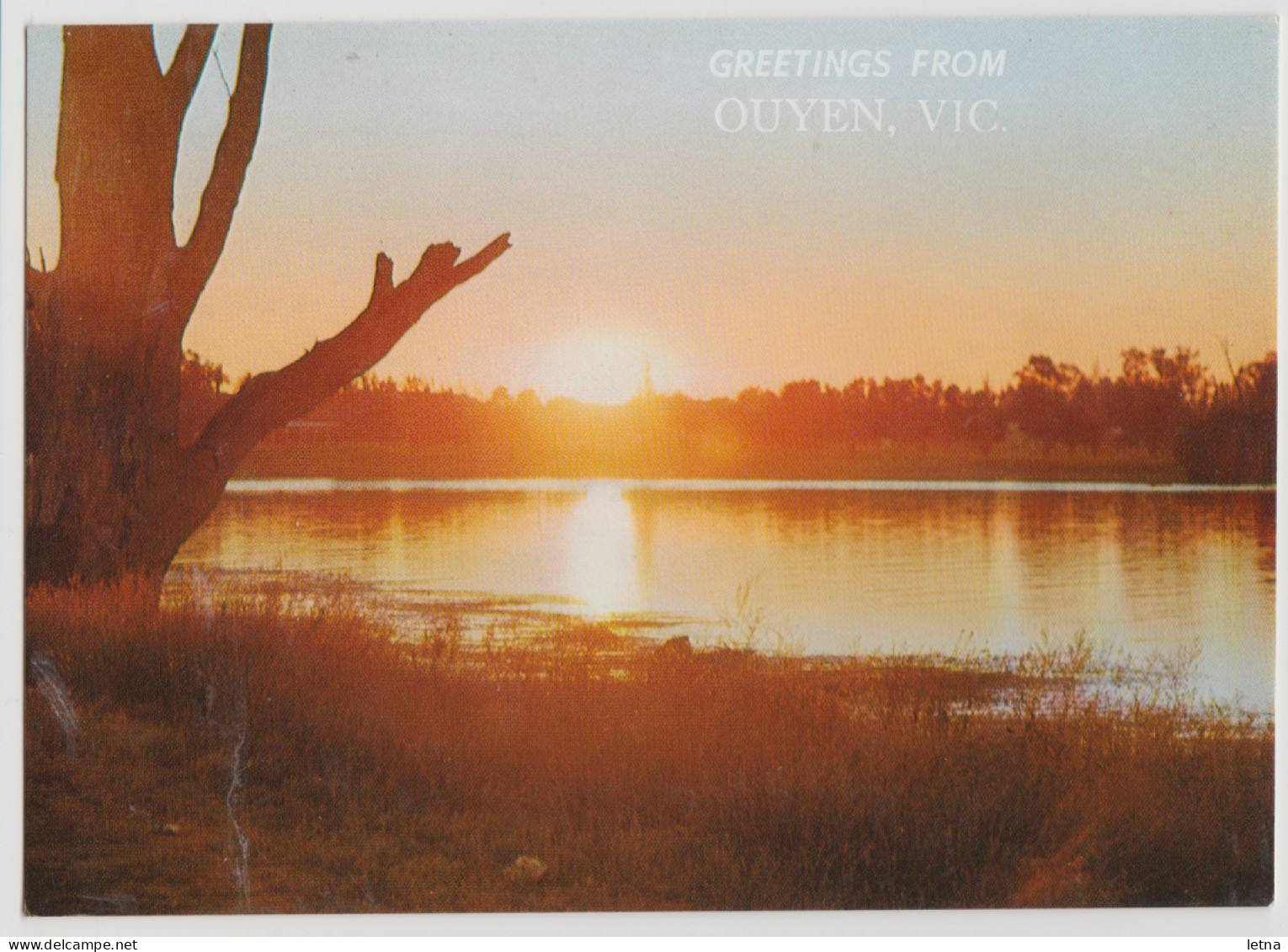 Australia VICTORIA VIC Sunset On Murray River OUYEN Rose No.873 Postcard C1980s - Sonstige & Ohne Zuordnung