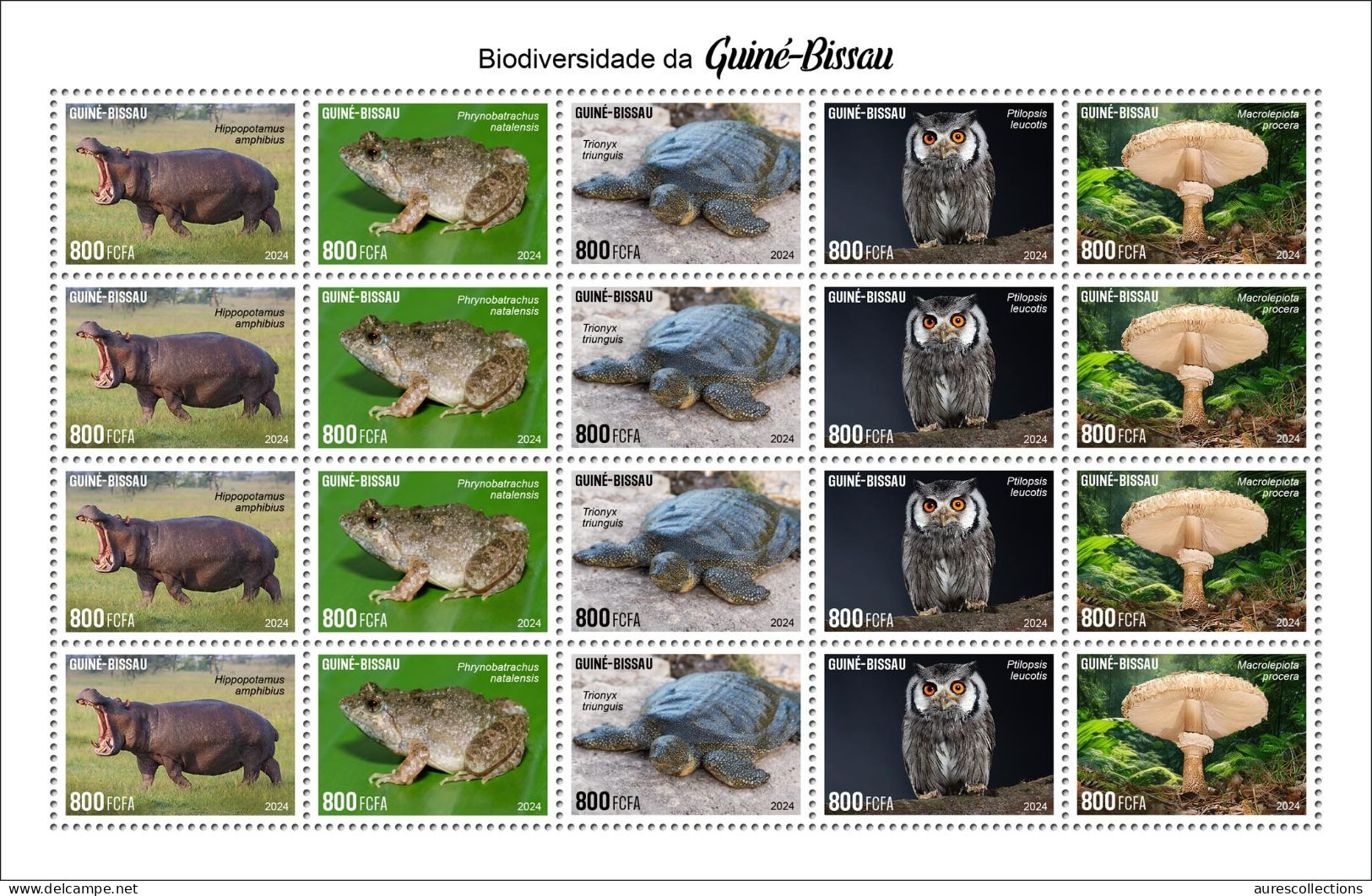 GUINEA BISSAU 2024 SHEET 20V - REG & OVERPRINT - MUSHROOMS OWL OWLS FROG FROGS TURTLE TURTLES HIPPOPOTAMUS - MNH - Frogs