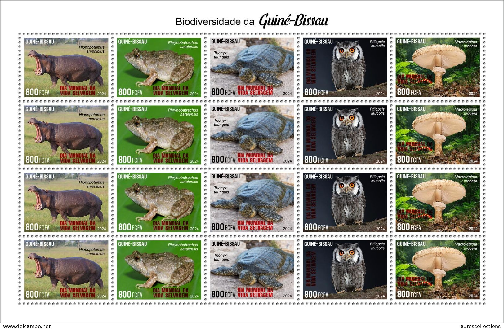 GUINEA BISSAU 2024 SHEET 20V - REG & OVERPRINT - MUSHROOMS OWL OWLS FROG FROGS TURTLE TURTLES HIPPOPOTAMUS - MNH - Grenouilles