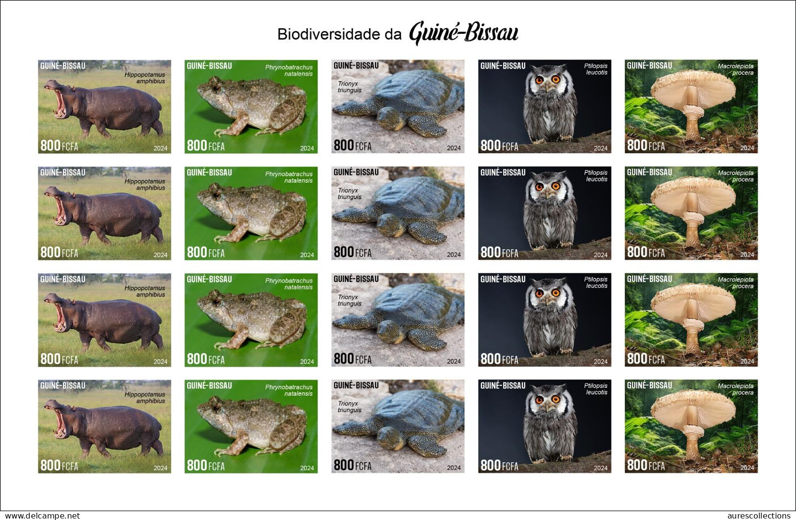 GUINEA BISSAU 2024 IMPERF SHEET 20V - REG & OVERPRINT - MUSHROOMS OWL OWLS FROG FROGS TURTLE TURTLES HIPPOPOTAMUS - MNH - Frösche