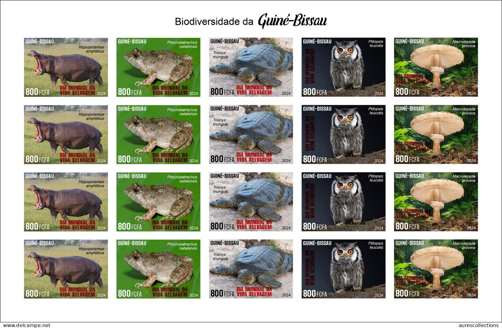 GUINEA BISSAU 2024 IMPERF SHEET 20V - REG & OVERPRINT - MUSHROOMS OWL OWLS FROG FROGS TURTLE TURTLES HIPPOPOTAMUS - MNH - Grenouilles