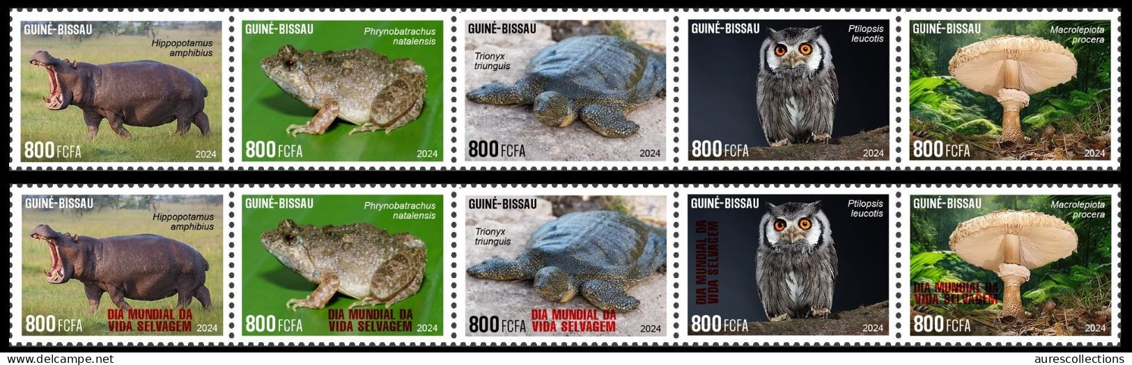 GUINEA BISSAU 2024 STRIP 5V - REG & OVERPRINT - MUSHROOMS OWL OWLS FROG FROGS TURTLE TURTLES HIPPOPOTAMUS - MNH - Grenouilles