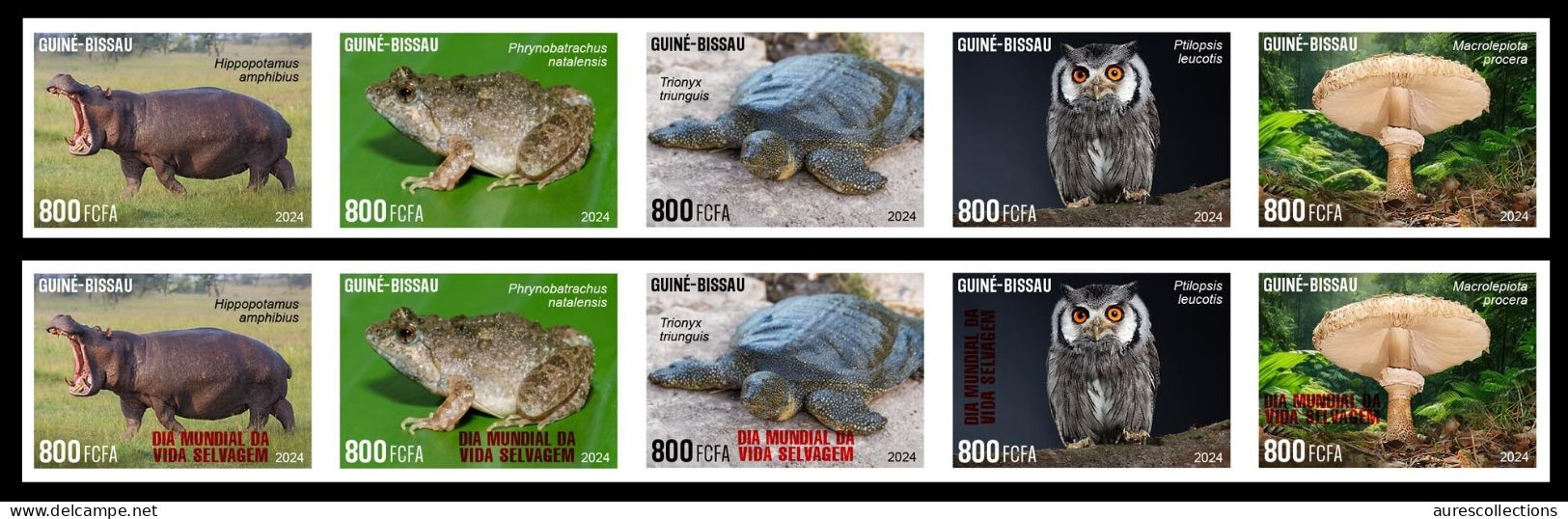 GUINEA BISSAU 2024 IMPERF STRIP 5V - REG & OVERPRINT - MUSHROOMS OWL OWLS FROG FROGS TURTLE TURTLES HIPPOPOTAMUS - MNH - Frogs