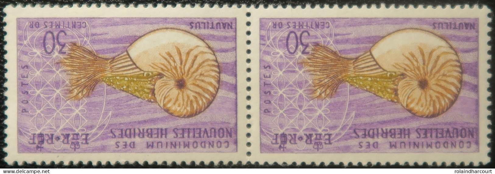 R2253/675 - NOUVELLES HEBRIDES - 1963 - Nautilus - (Paire) N°204 NEUFS** - Ongebruikt