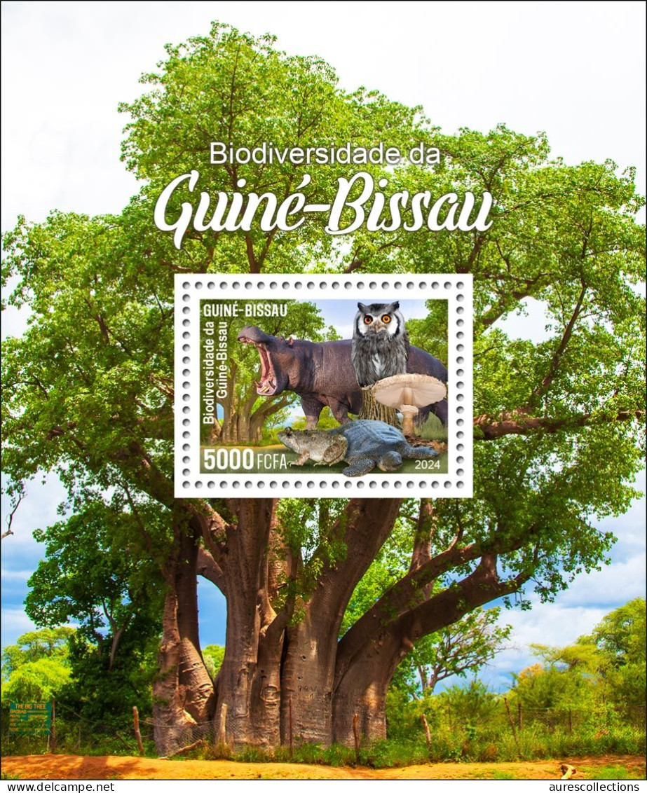 GUINEA BISSAU 2024 FULL PACK 18 M/S - REG & OVERPRINT - MUSHROOMS OWLS FROG FROGS TURTLE TURTLES HIPPOPOTAMUS BAOBAB MNH - Grenouilles