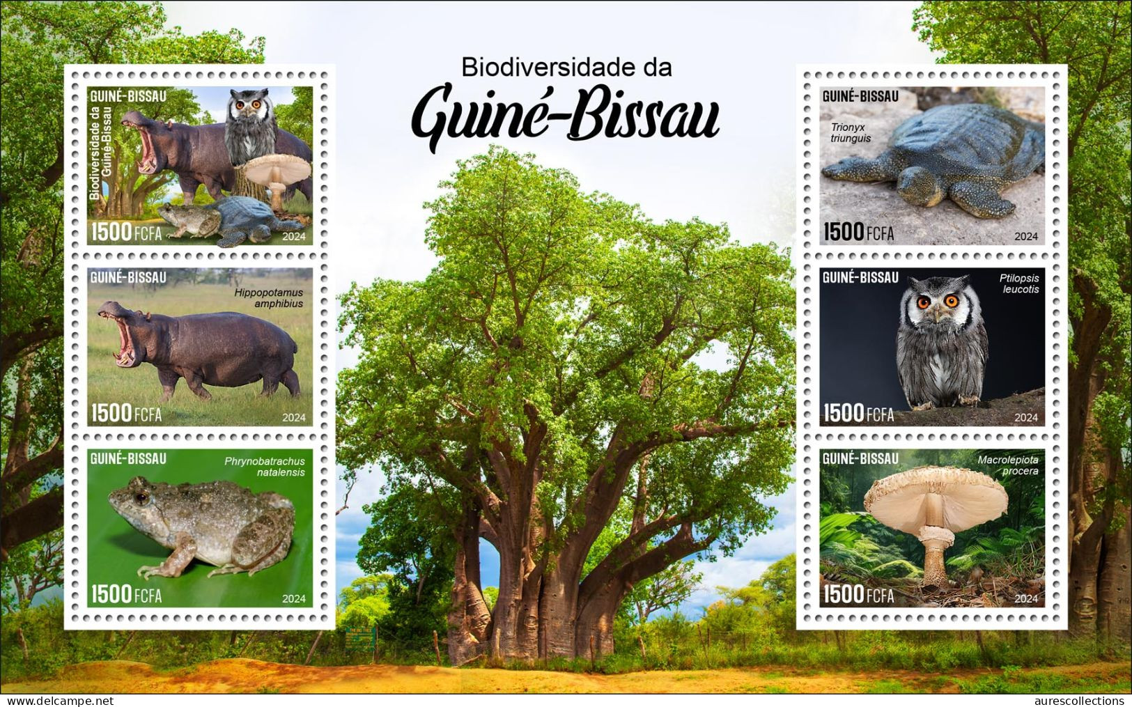 GUINEA BISSAU 2024 FULL PACK 18 M/S - REG & OVERPRINT - MUSHROOMS OWLS FROG FROGS TURTLE TURTLES HIPPOPOTAMUS BAOBAB MNH - Frogs