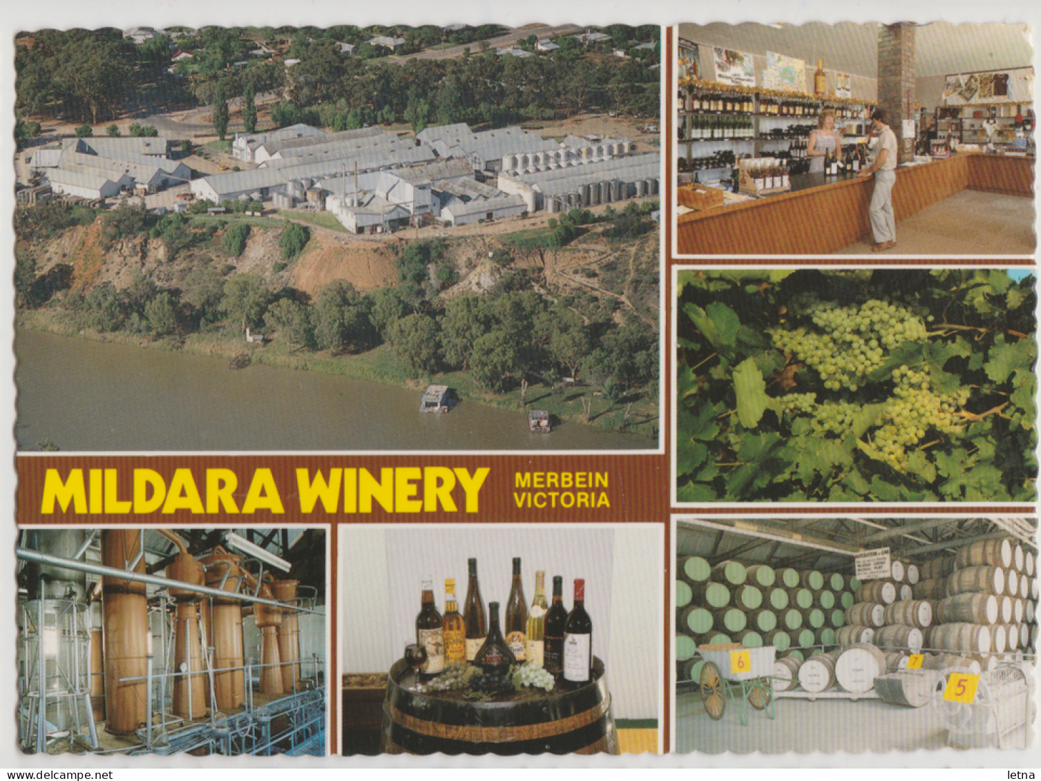 Australia VICTORIA VIC Mildara Wines Multiviews MERBEIN Nucolorvue 18MD031 Postcard C1970s - Mildura