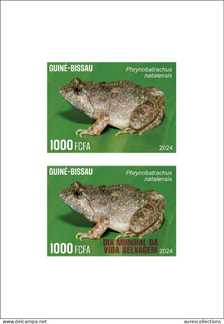 GUINEA BISSAU 2024 PACK OF 8 DELUXE PROOF - REG & OVERPRINT - MUSHROOMS OWLS FROG FROGS TURTLE TURTLES HIPPOPOTAMUS - Ranas