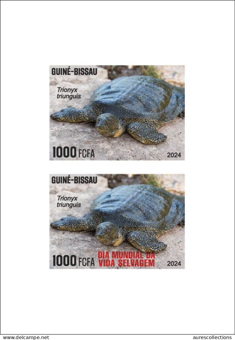 GUINEA BISSAU 2024 PACK OF 8 DELUXE PROOF - REG & OVERPRINT - MUSHROOMS OWLS FROG FROGS TURTLE TURTLES HIPPOPOTAMUS - Frogs