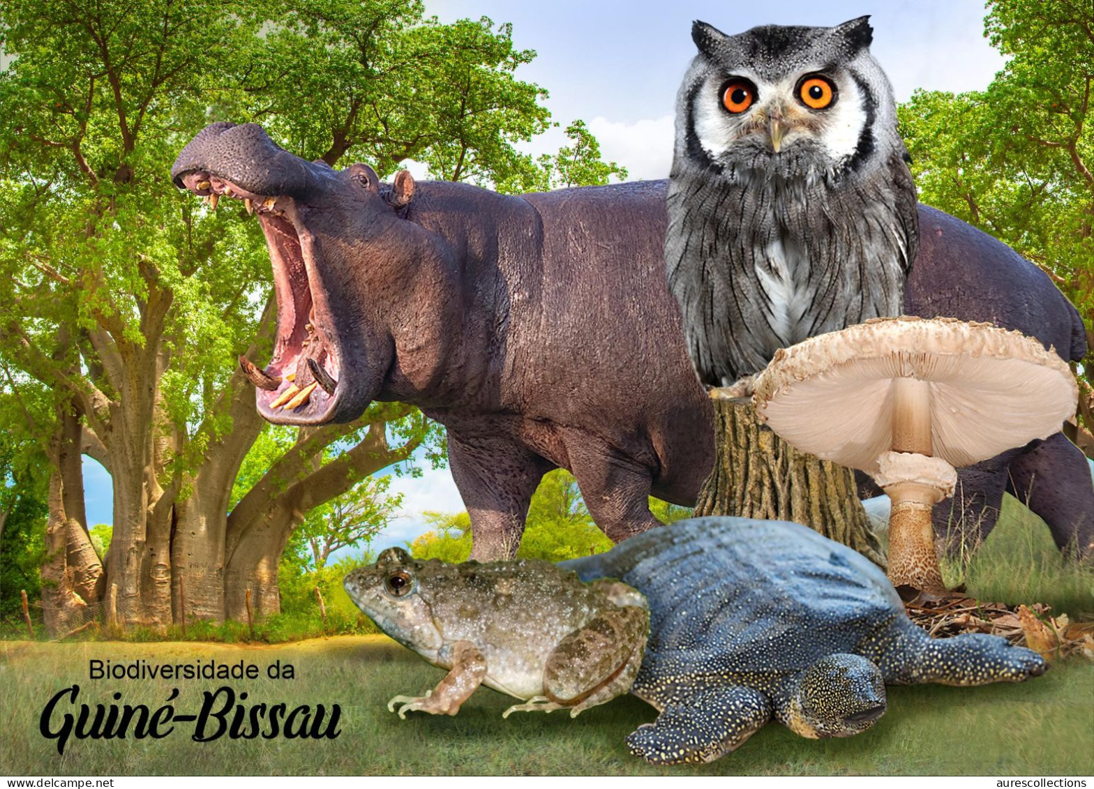 GUINEA BISSAU 2024 PACK OF 6 STATIONERY CARD - MUSHROOM MUSHROOMS OWL OWLS FROG FROGS TURTLE TURTLES HIPPOPOTAMUS - Rane