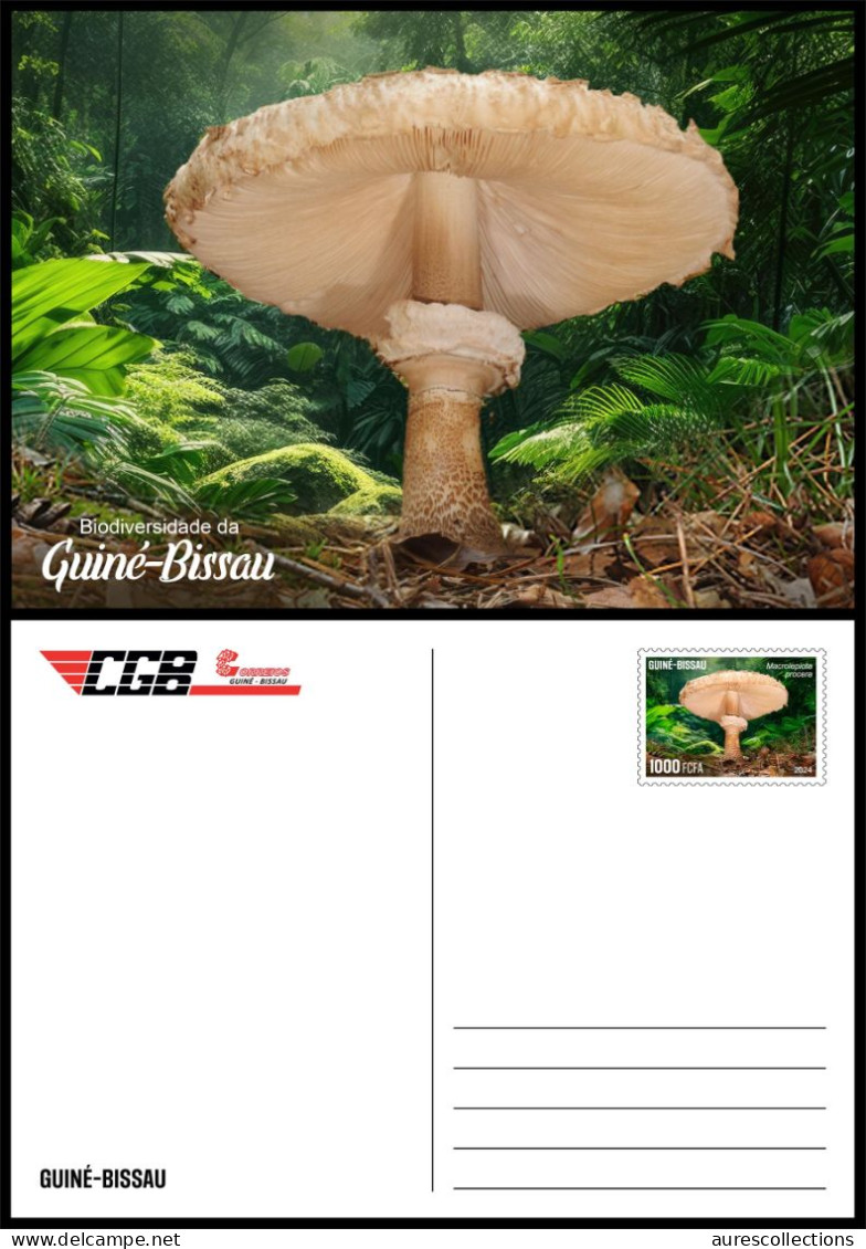 GUINEA BISSAU 2024 PACK OF 6 STATIONERY CARD - MUSHROOM MUSHROOMS OWL OWLS FROG FROGS TURTLE TURTLES HIPPOPOTAMUS