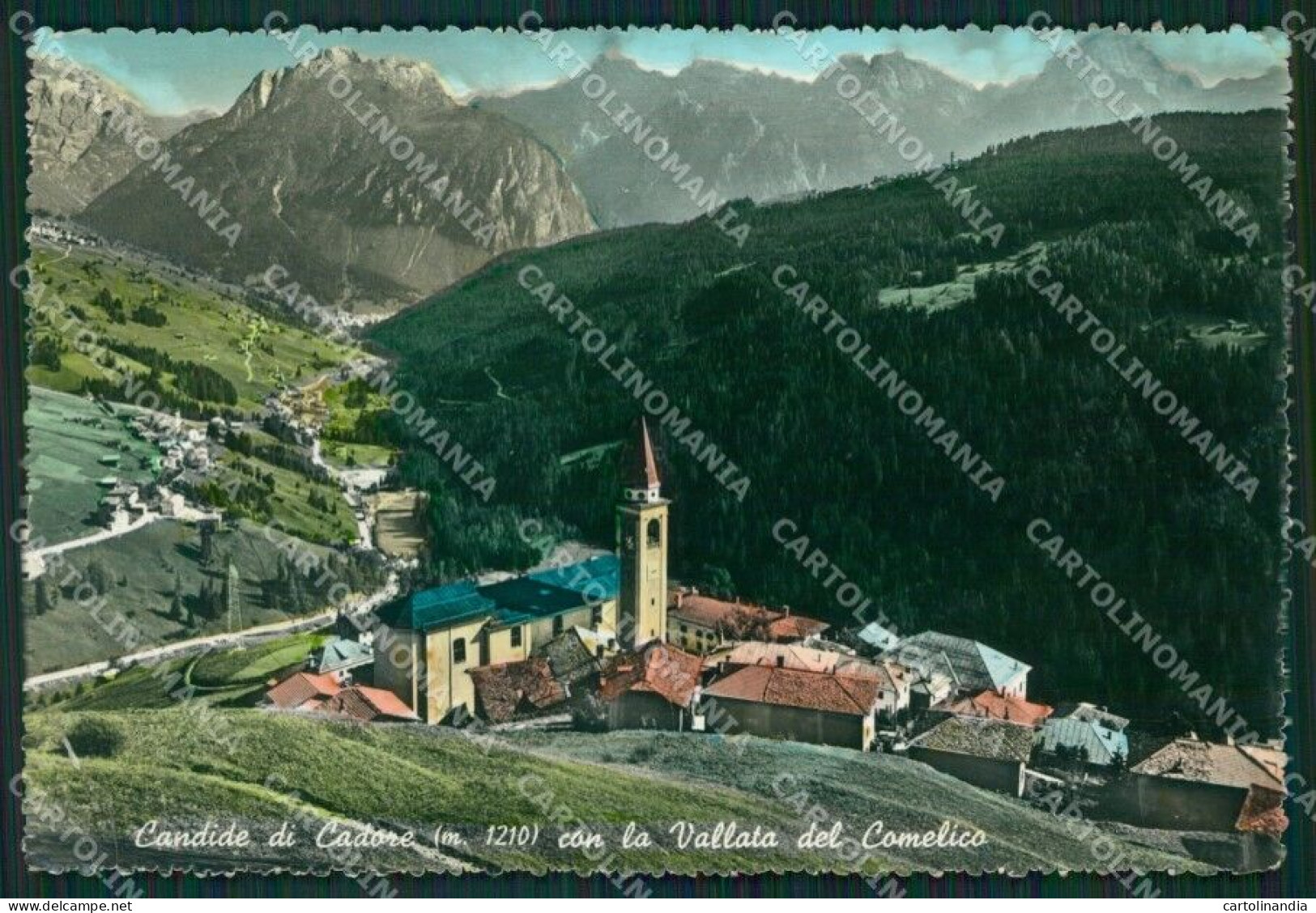 Belluno Comelico Superiore Candide Di Cadore PIEGA Foto FG Cartolina ZKM7142 - Belluno