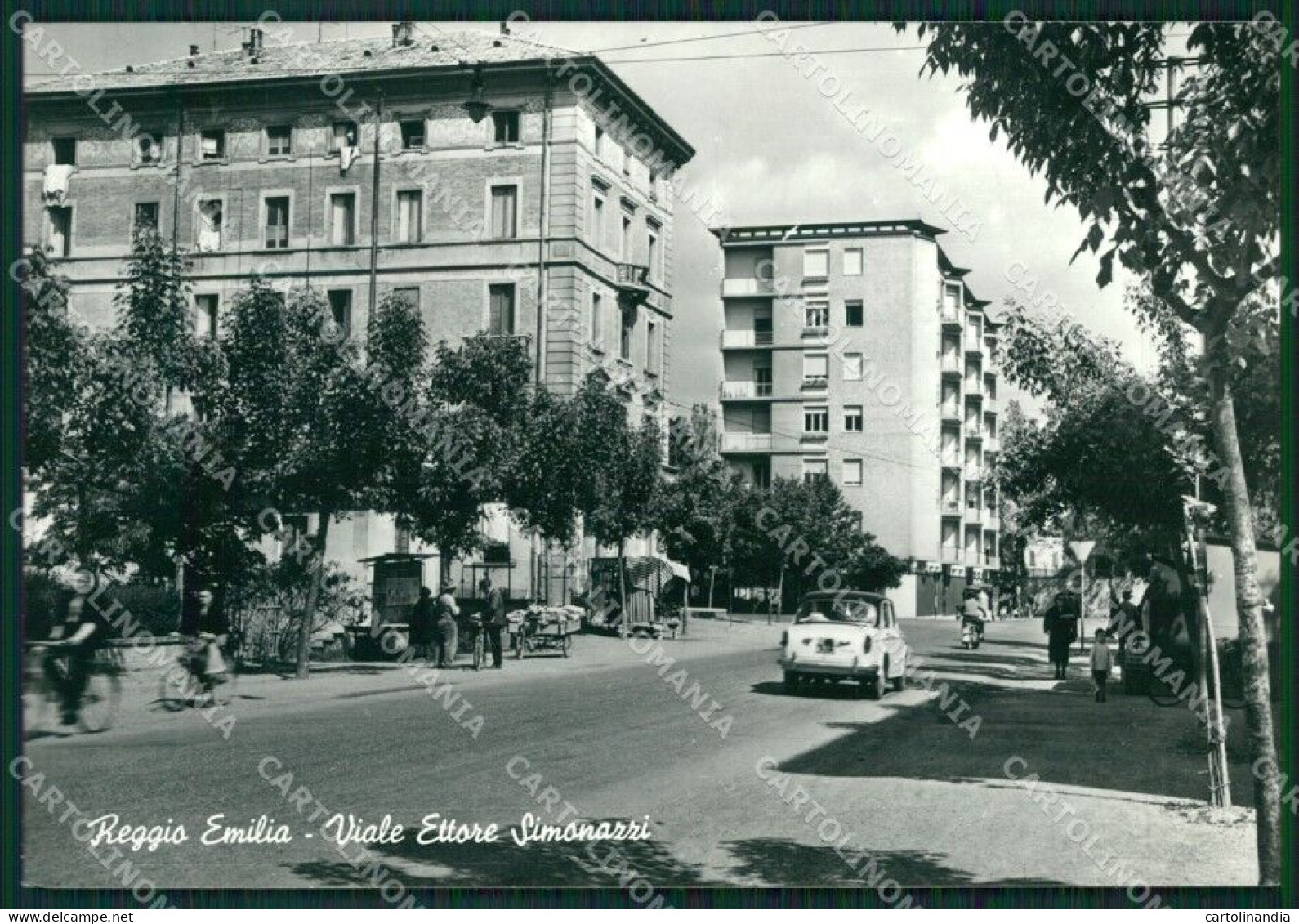 Reggio Emilia Città Auto Foto FG Cartolina ZK3393 - Reggio Nell'Emilia