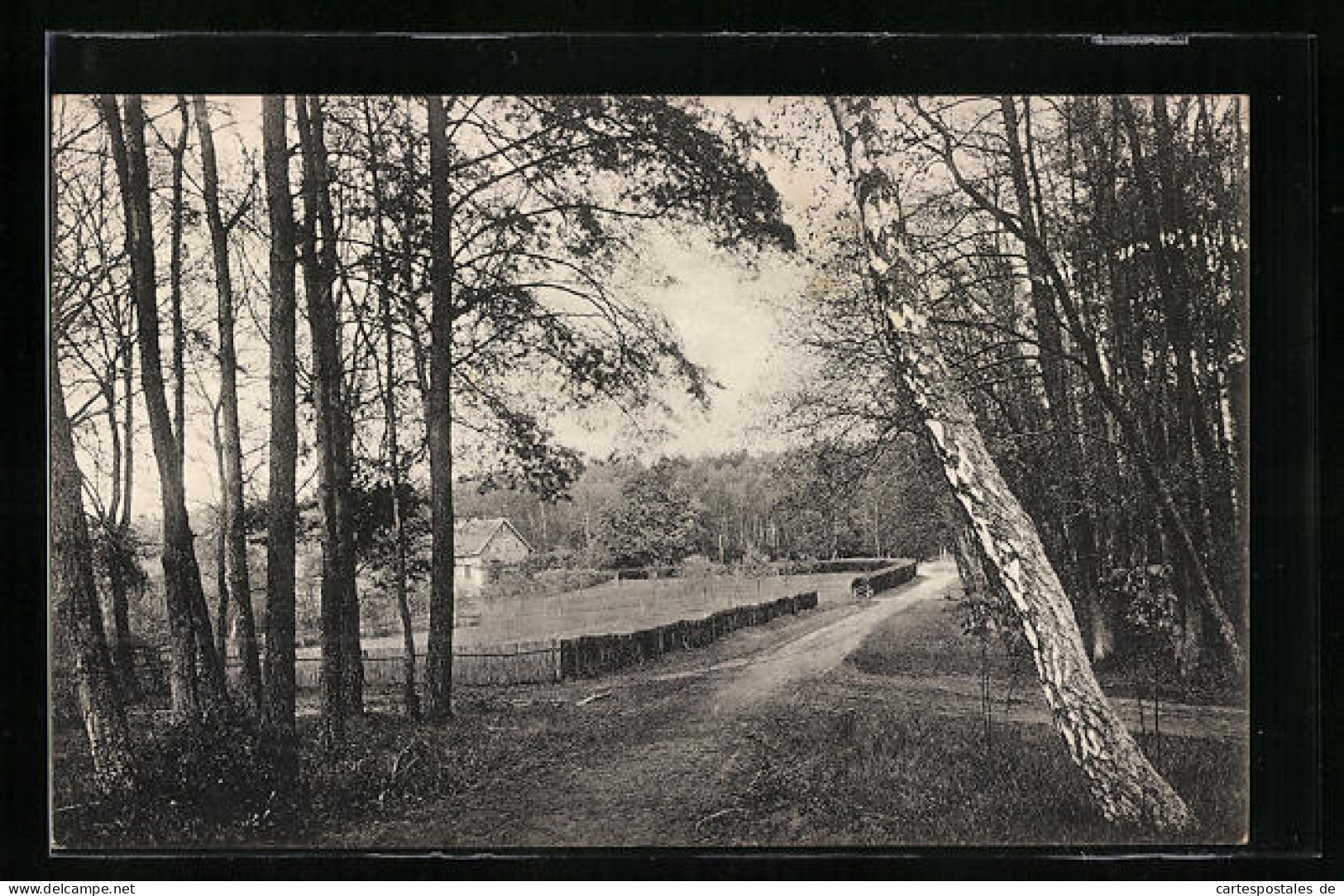 AK Frohnsdorf Bei Treuenbrietzen, Blick Auf Die Oberförsterei  - Treuenbrietzen