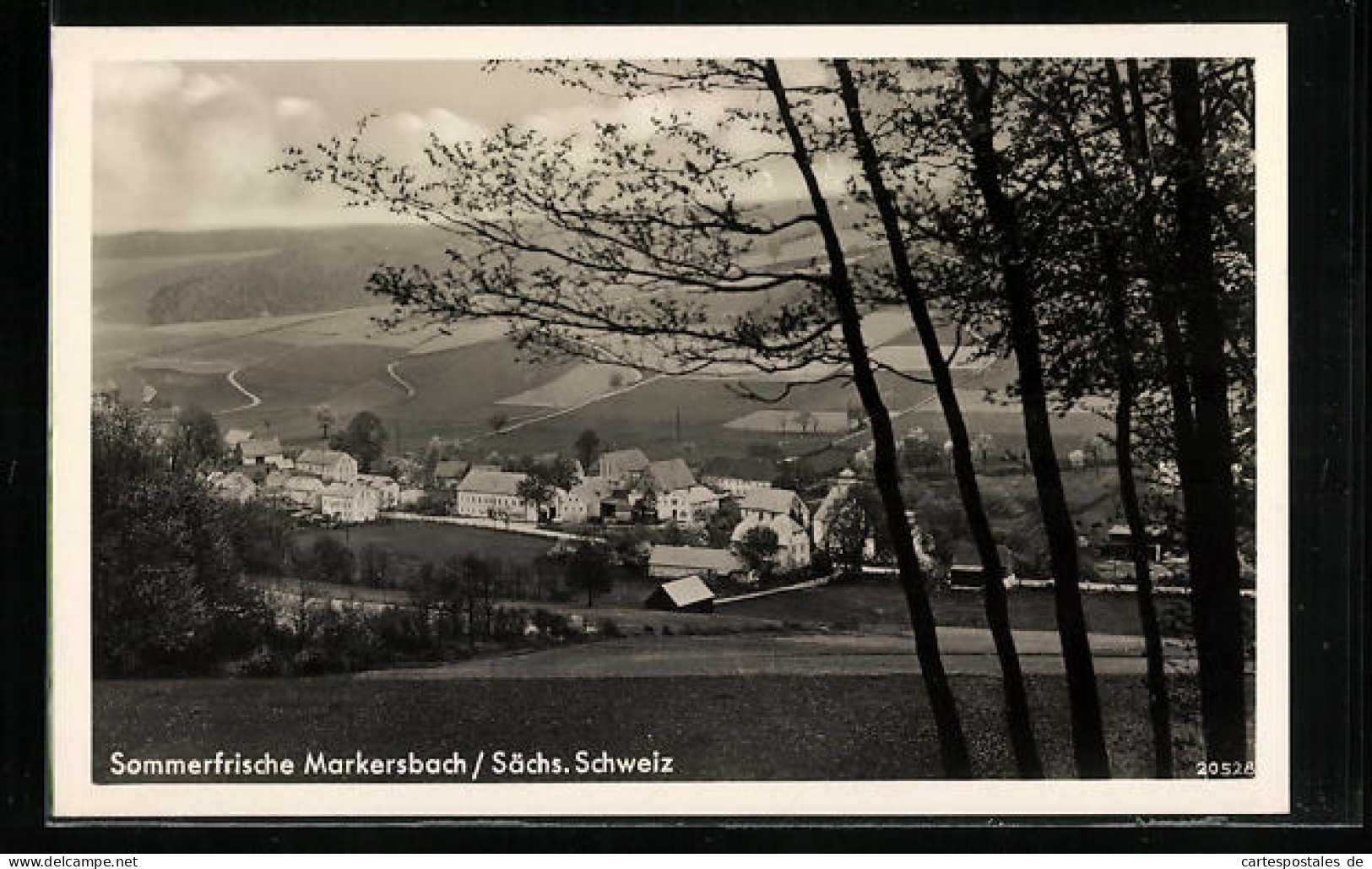 AK Markersbach /Sächs. Schweiz, Teilansicht Mit Bäumen  - Markersbach
