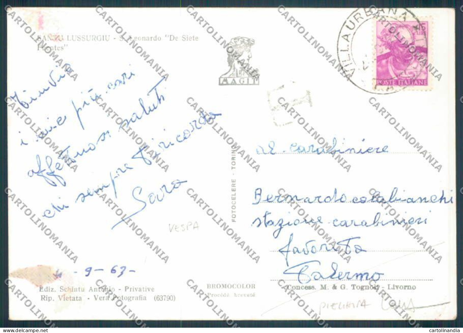 Oristano Santu Lussurgiu Vespa PIEGHINA COLLA Foto FG Cartolina ZF8438 - Oristano