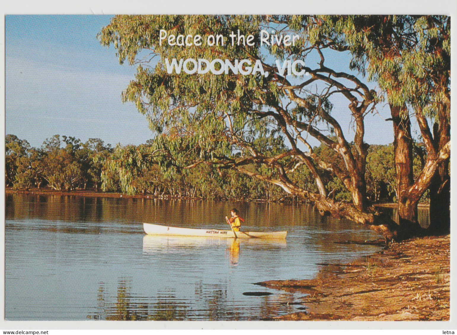 Australia VICTORIA VIC Canoe On Murray River WODONGA Rose No.3681 Postcard C1990s - Other & Unclassified