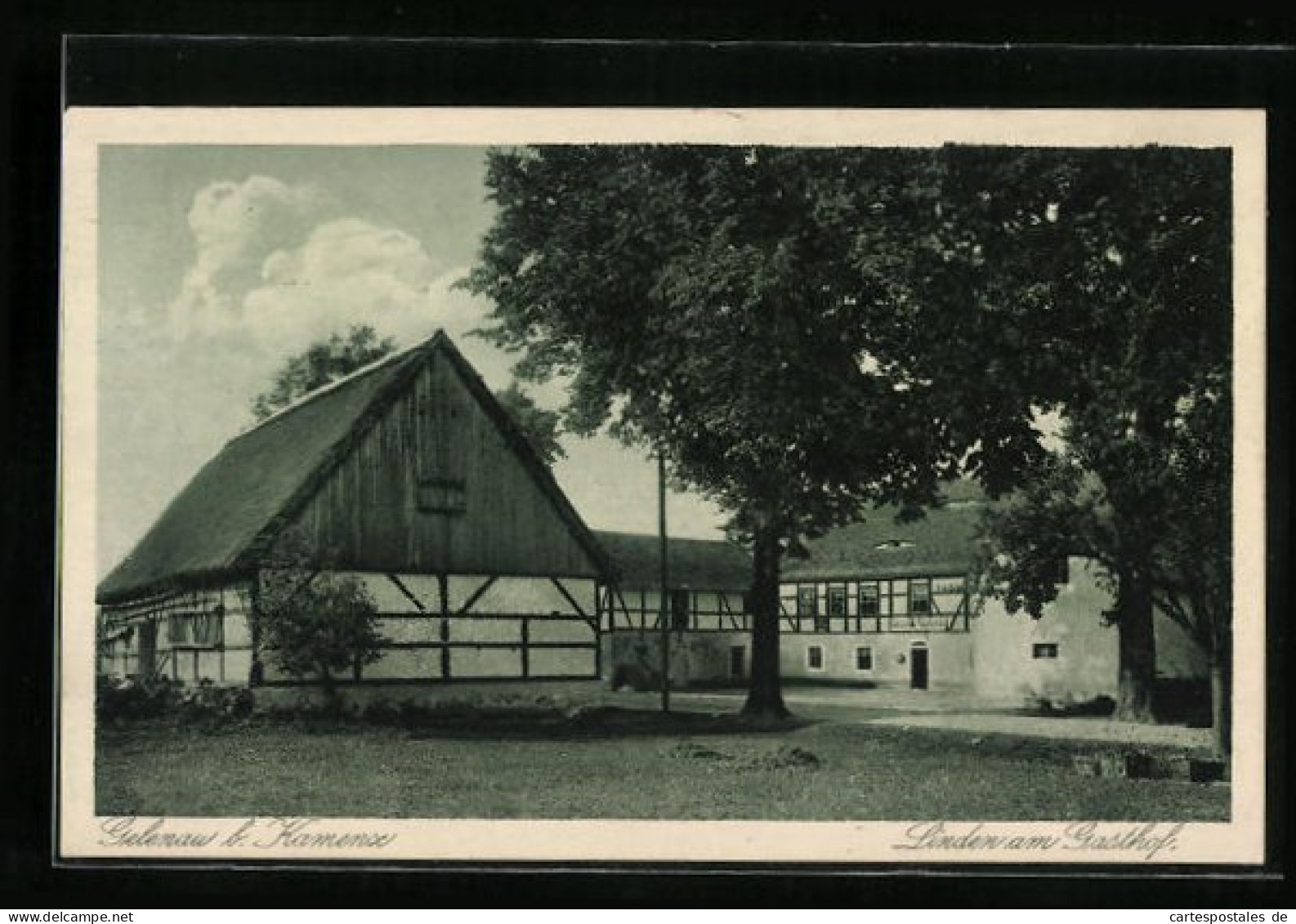 AK Gelenau B. Kamenz, Linden Am Gasthof  - Kamenz