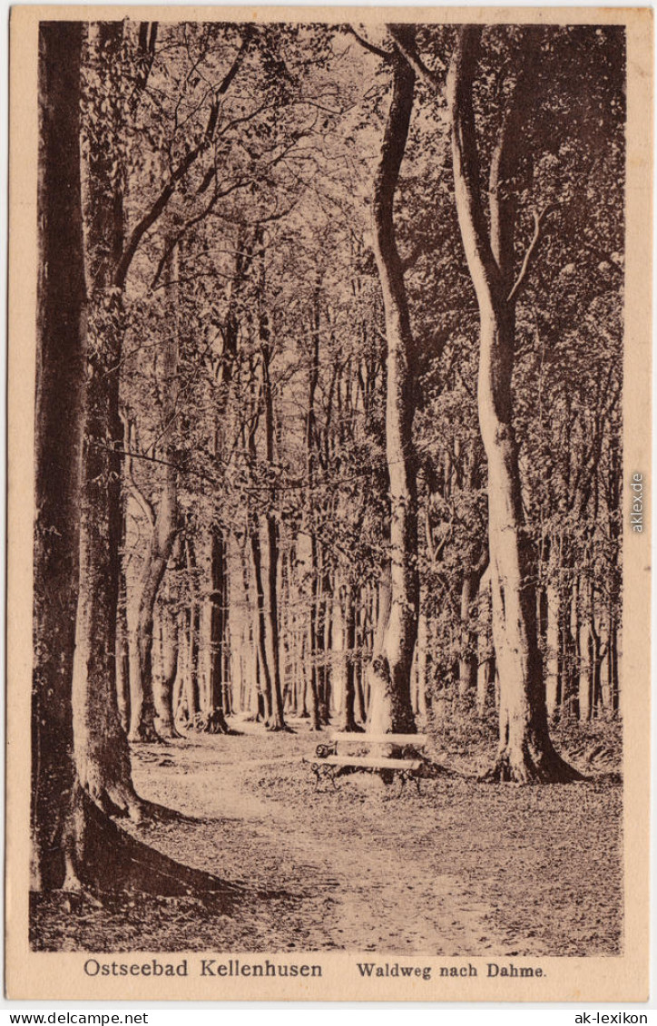 Ansichtskarte Kellenhusen (Ostsee) Waldweg Nach Dame 1916 - Kellenhusen