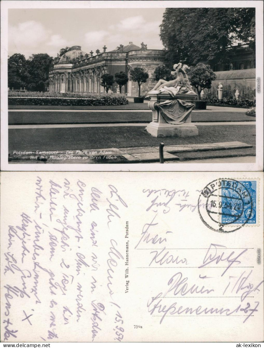 Potsdam Sanssouci - Die Flora Von Adam Mit Den Hundegräbern Zu Ihren Füßen 1954 - Potsdam