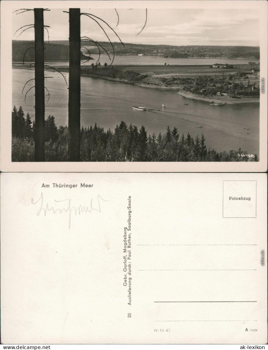 Ansichtskarte Saalfeld (Saale) Am Thüringer Meer - Hohenwartestausee 1954 - Saalfeld