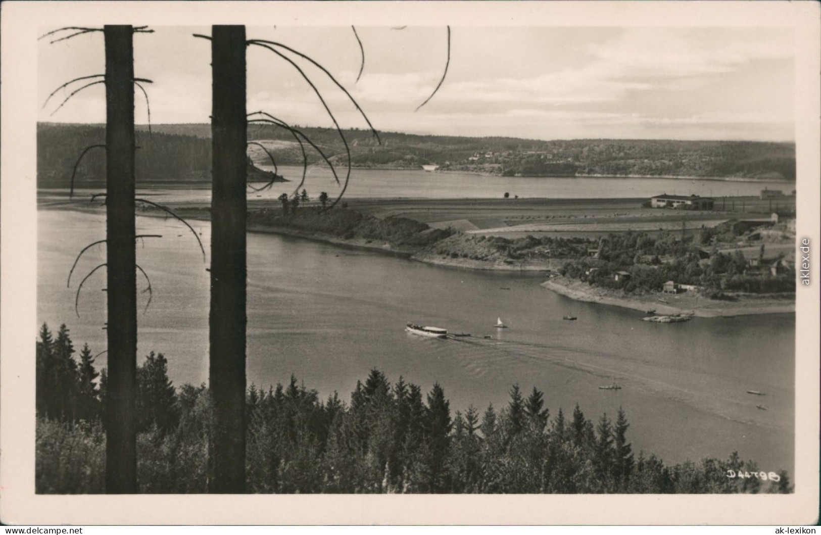 Ansichtskarte Saalfeld (Saale) Am Thüringer Meer - Hohenwartestausee 1954 - Saalfeld