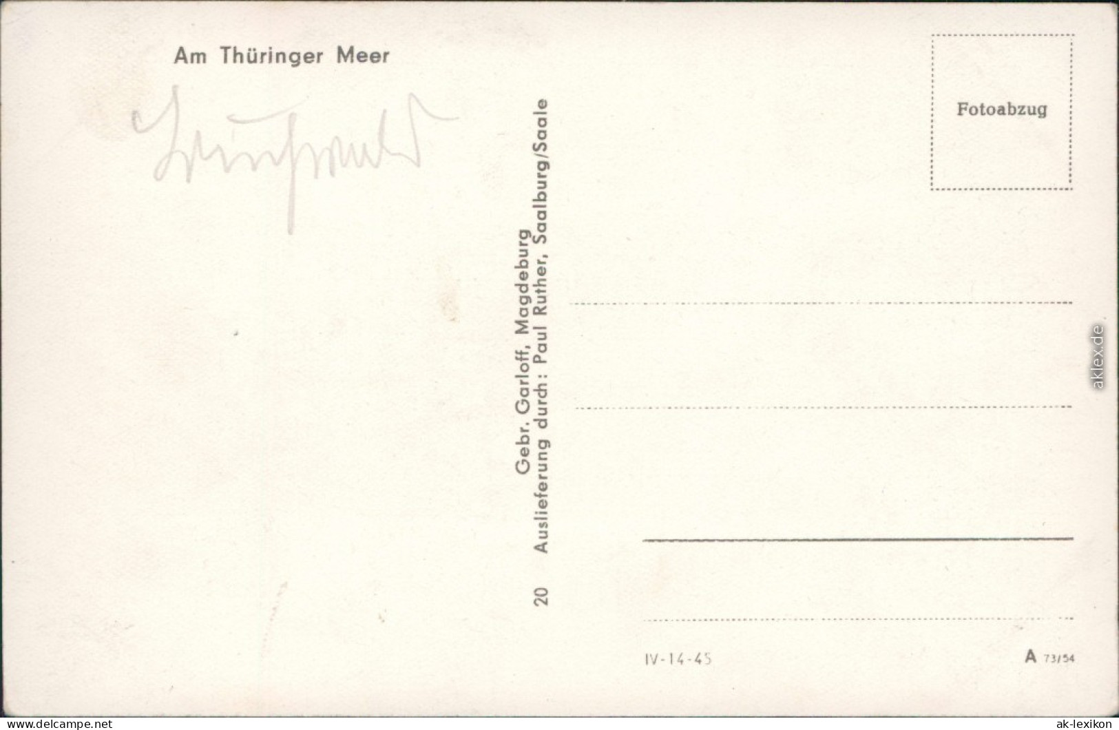 Ansichtskarte Saalfeld (Saale) Am Thüringer Meer - Hohenwartestausee 1954 - Saalfeld