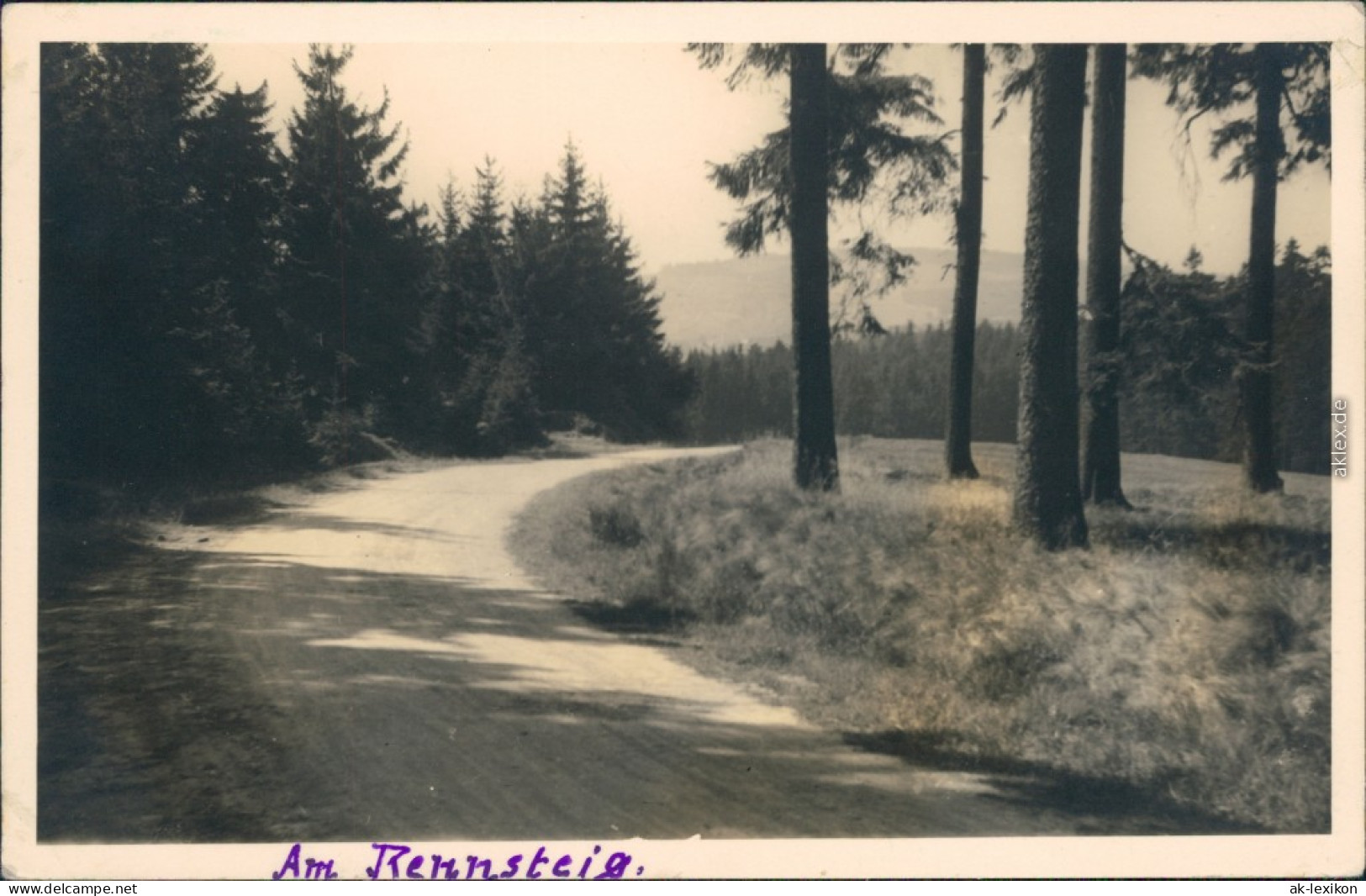 Ansichtskarte Schmiedefeld (Rennsteig) Am Rennsteig 1955 - Schmiedefeld