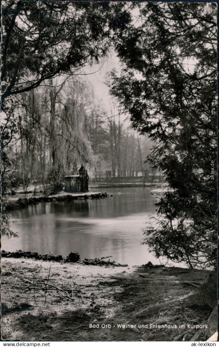 Ansichtskarte Bad Orb Weiher Und Entenhaus Im Kurpark 1958 - Bad Orb