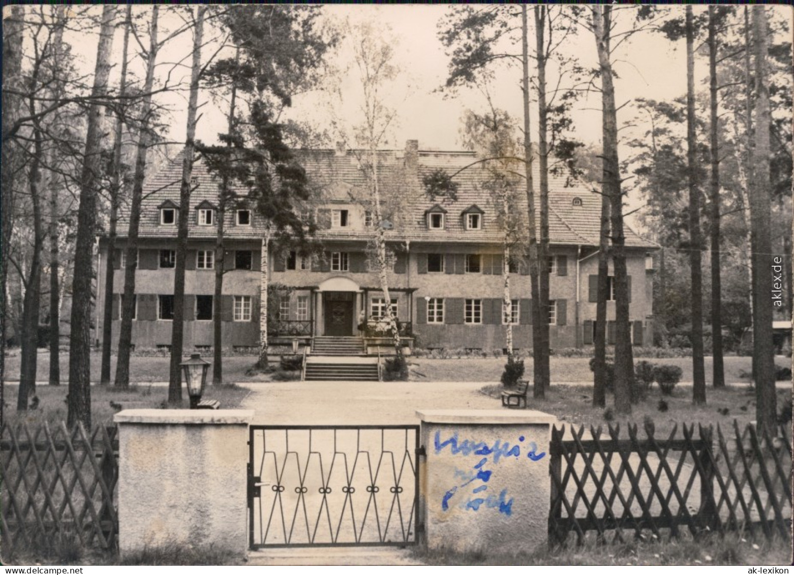 Bad Saarow Blick Auf Das Hospiz - Im Wald Gelgen 1974  - Bad Saarow