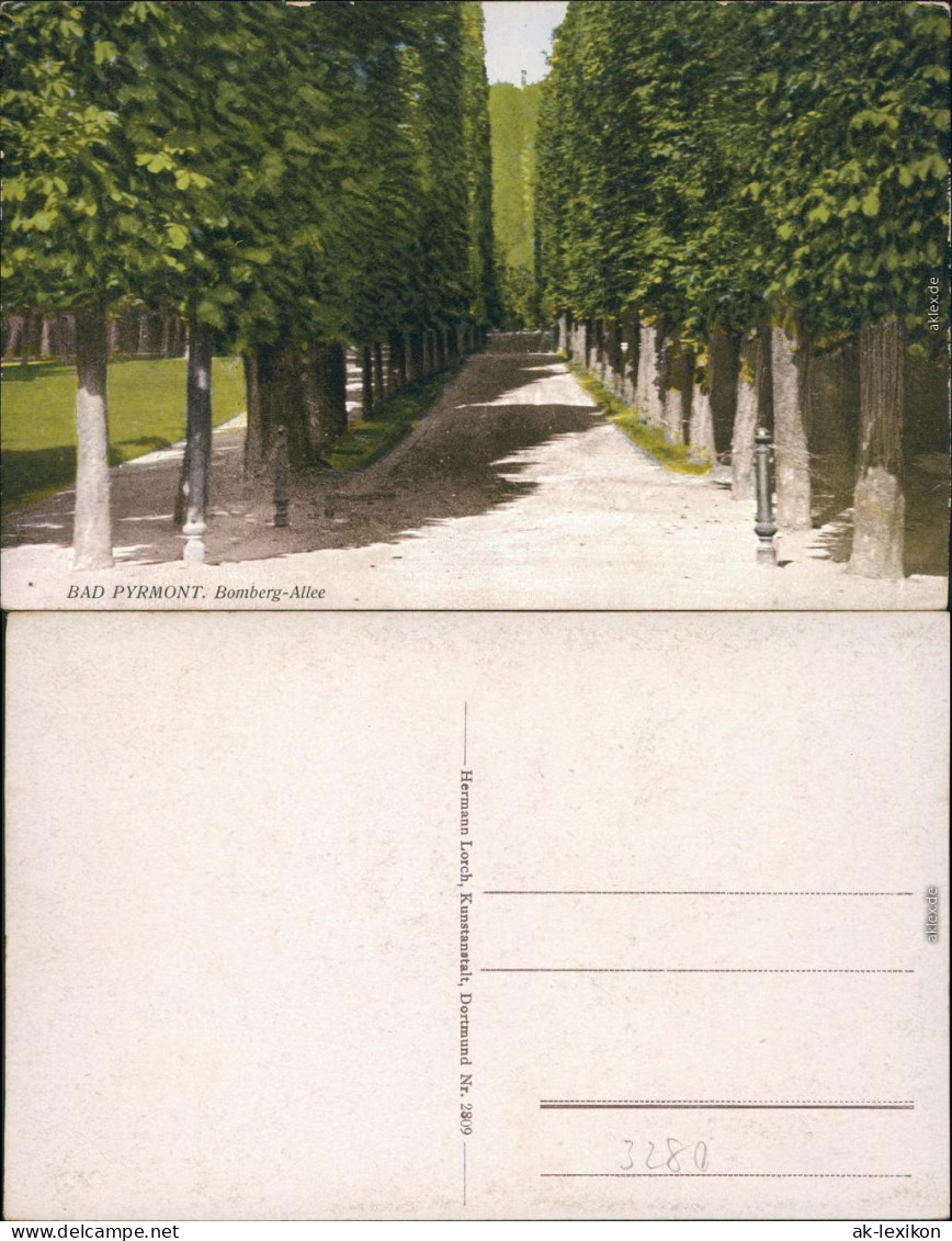 Ansichtskarte Bad Pyrmont Kurpark - Bomberg-Allee 1925 - Bad Pyrmont