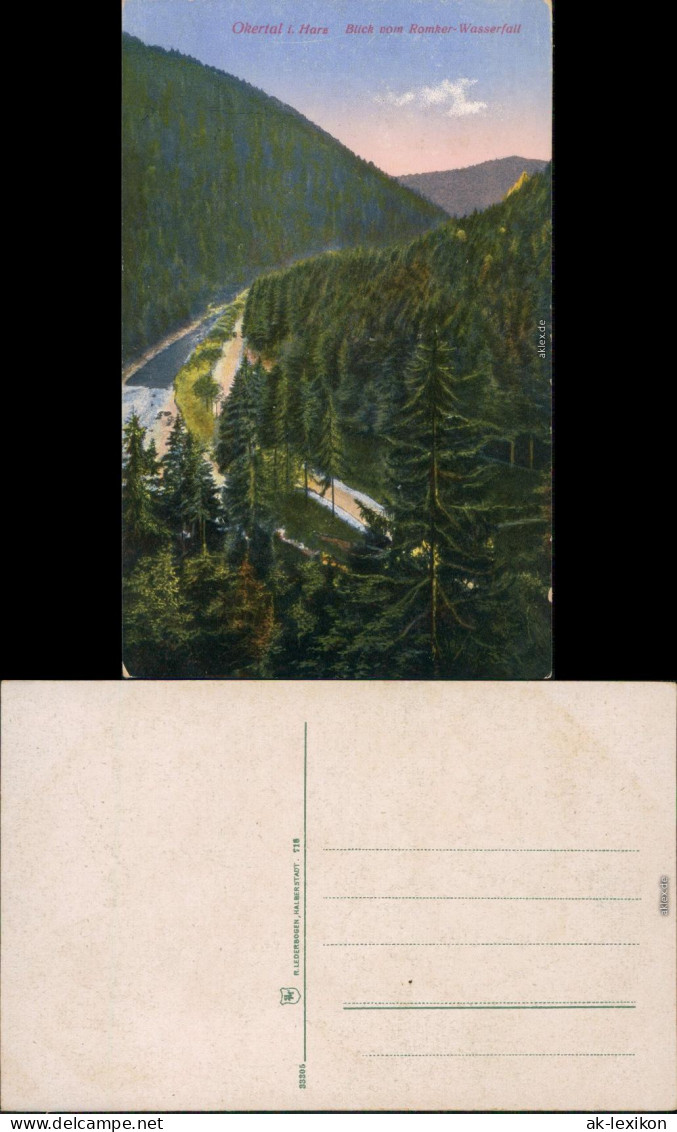 Ansichtskarte Oker-Goslar Okertal - Blick Vom Romker-Wasserfall 1915 - Goslar