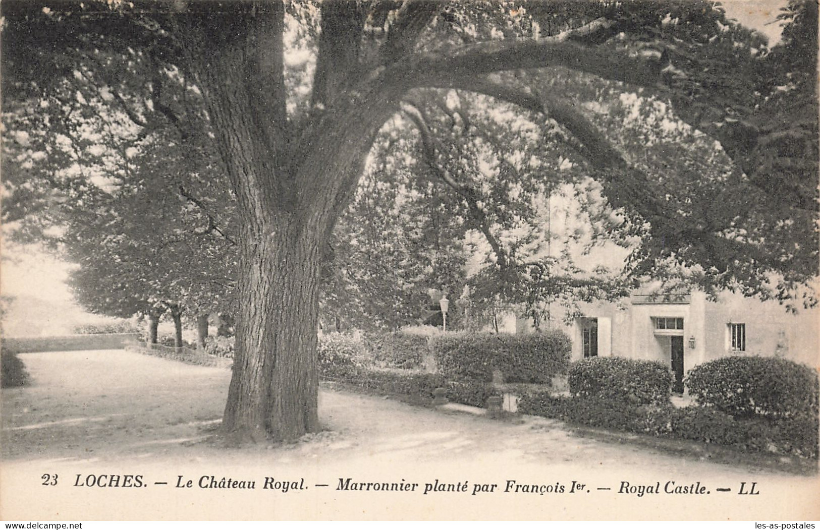 37 LOCHES LE CHÂTEAU ROYAL - Loches