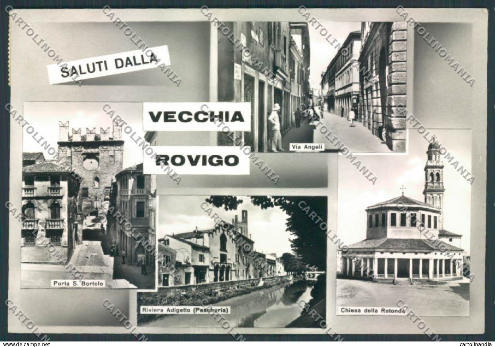 Rovigo Città Saluti Da Foto FG Cartolina ZF1457 - Rovigo