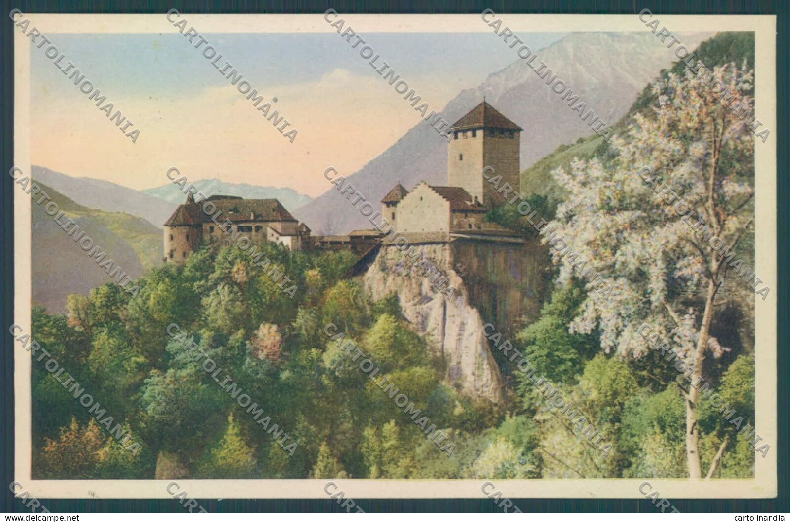 Bolzano Merano Castel Tirolo Cartolina ZC3961 - Bolzano (Bozen)