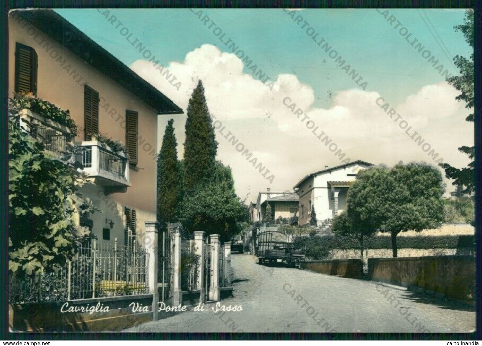 Arezzo Cavriglia PIEGHINA Foto FG Cartolina ZK1899 - Arezzo