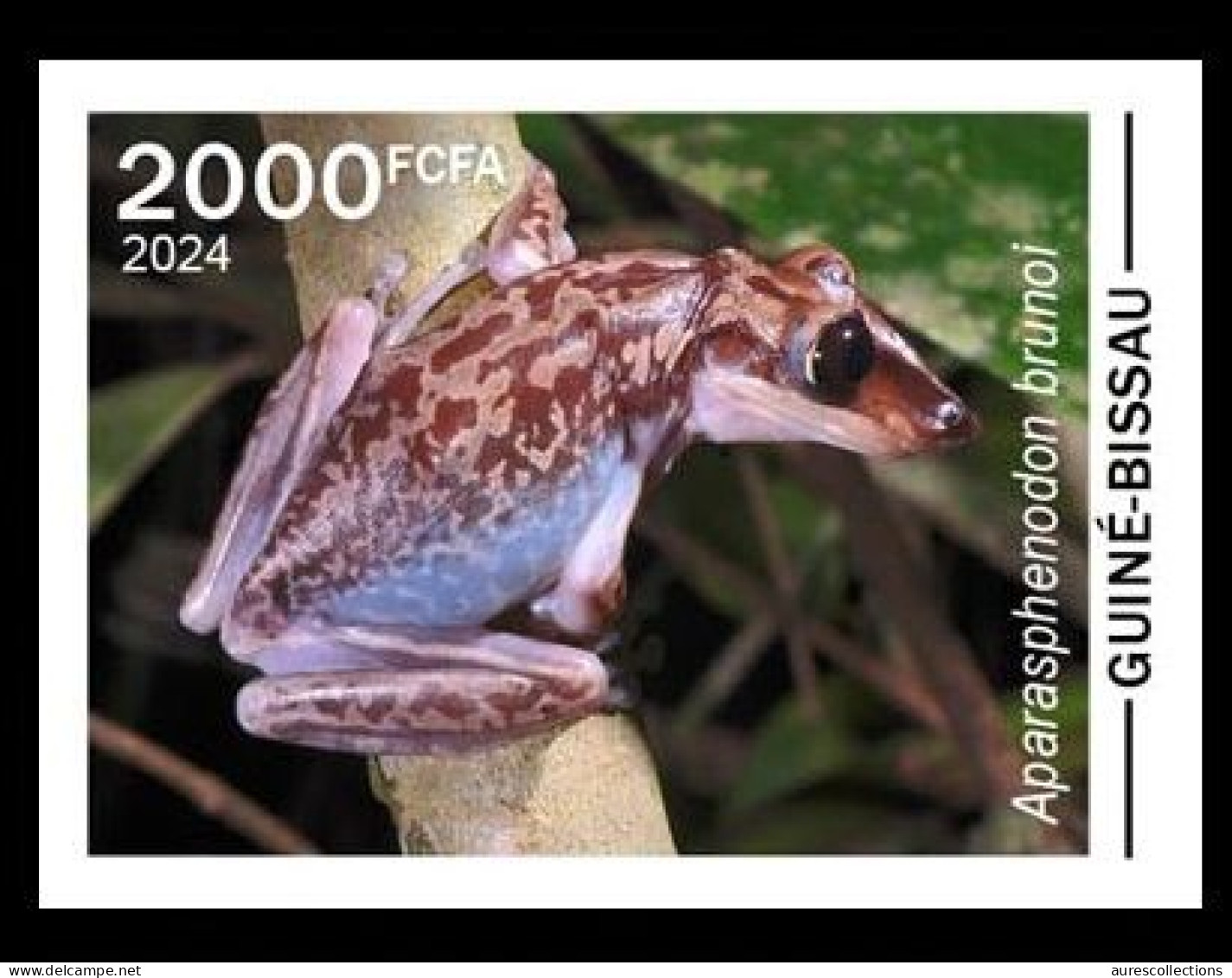 GUINEA BISSAU 2024 IMPERF STAMP 1V - POISONOUS TOXIC VENOMOUS - FROG FROGS GRENOUILLE GRENOUILLES - MNH - Kikkers