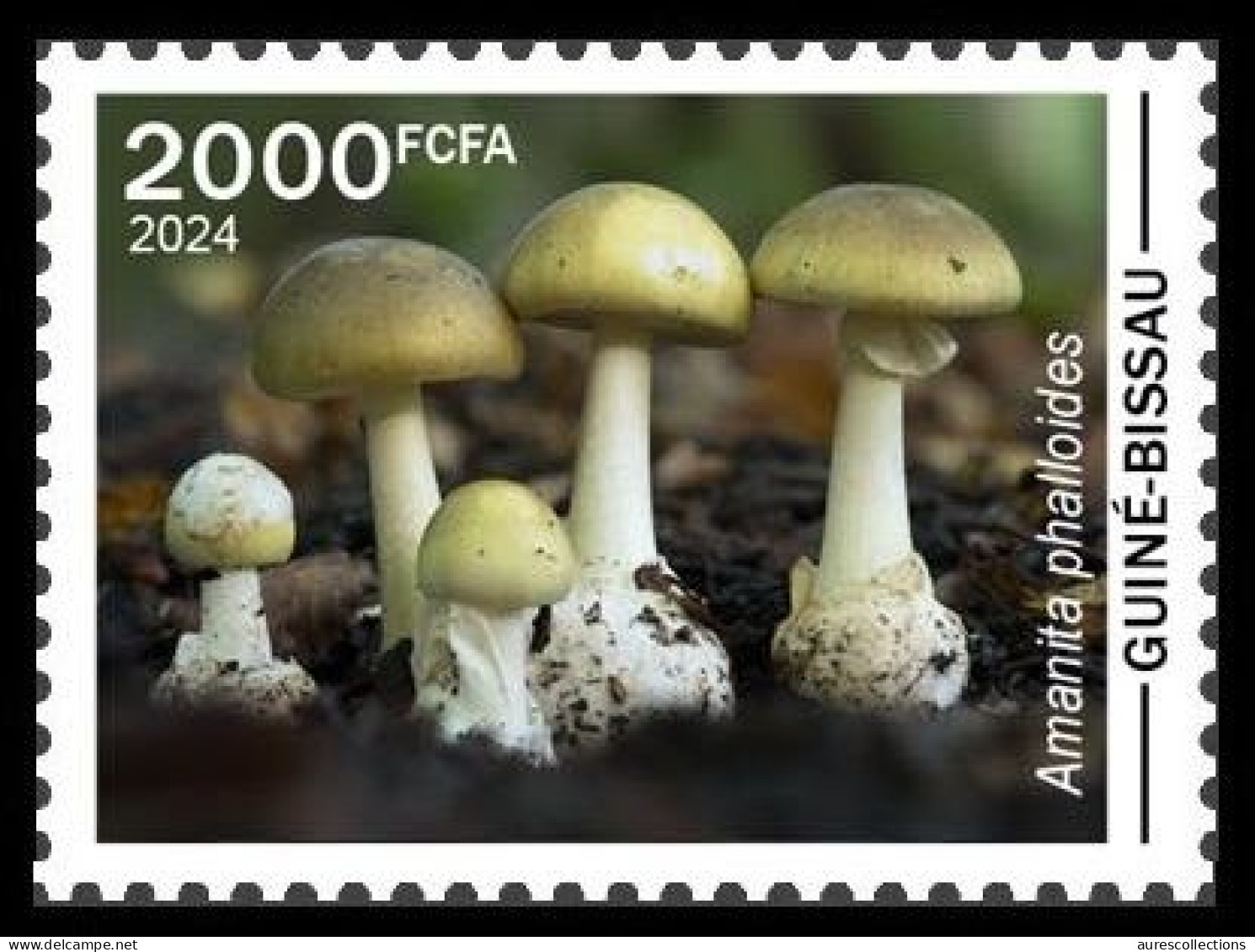 GUINEA BISSAU 2024 STAMP 1V - POISONOUS TOXIC VENOMOUS - MUSHROOMS MUSHROOM CHAMPIGNONS CHAMPIGNON - MNH - Mushrooms