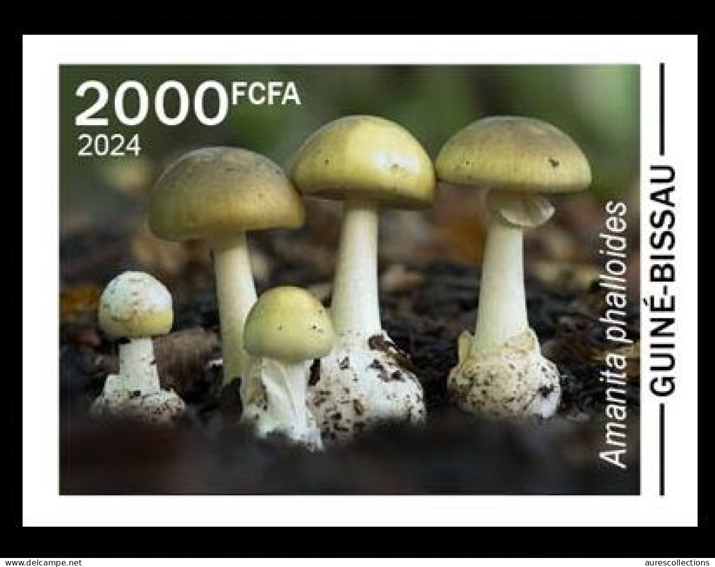 GUINEA BISSAU 2024 IMPERF STAMP 1V - POISONOUS TOXIC VENOMOUS - MUSHROOMS MUSHROOM CHAMPIGNONS CHAMPIGNON - MNH - Mushrooms