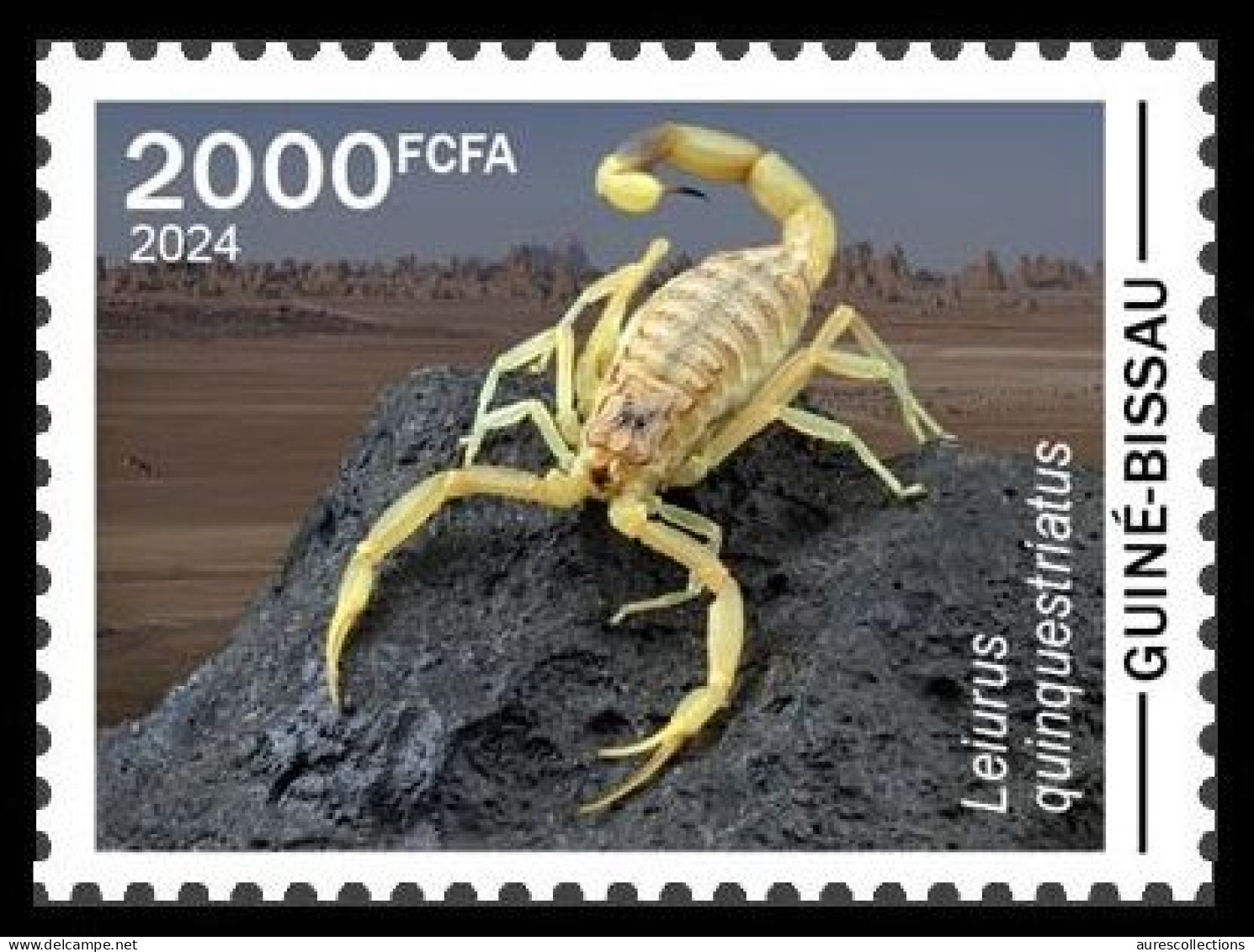 GUINEA BISSAU 2024 STAMP 1V - POISONOUS TOXIC VENOMOUS - SCORPIONS SCORPION SPIDER SPIDERS - MNH - Araignées