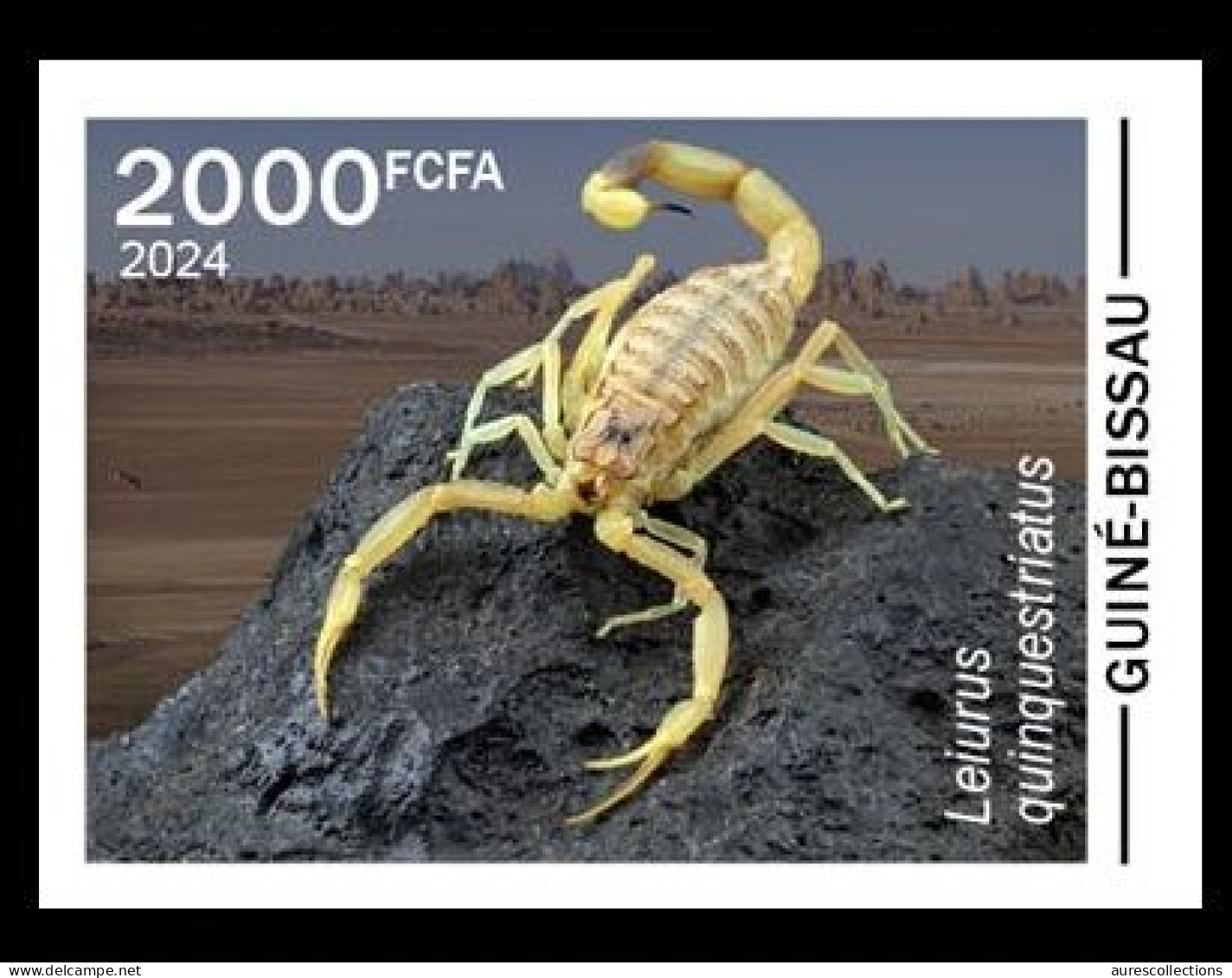 GUINEA BISSAU 2024 IMPERF STAMP 1V - POISONOUS TOXIC VENOMOUS - SCORPIONS SCORPION SPIDER SPIDERS - MNH - Spinnen