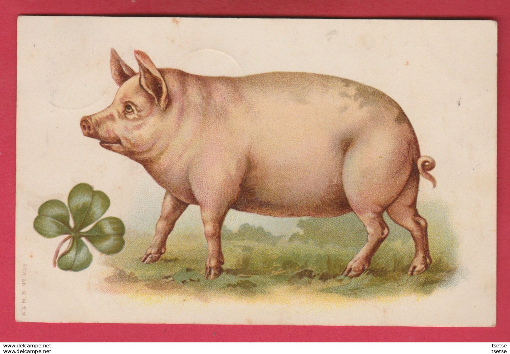Pig - Cochon ... Trèfle à 4 Feuilles - 1908  ( Voir Verso ) - Pigs