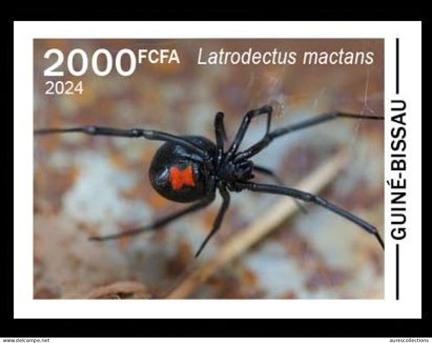 GUINEA BISSAU 2024 IMPERF STAMP 1V - POISONOUS TOXIC VENOMOUS - BLACK WIDOW SPIDER SPIDERS VEUVE NOIRE - MNH - Spinnen