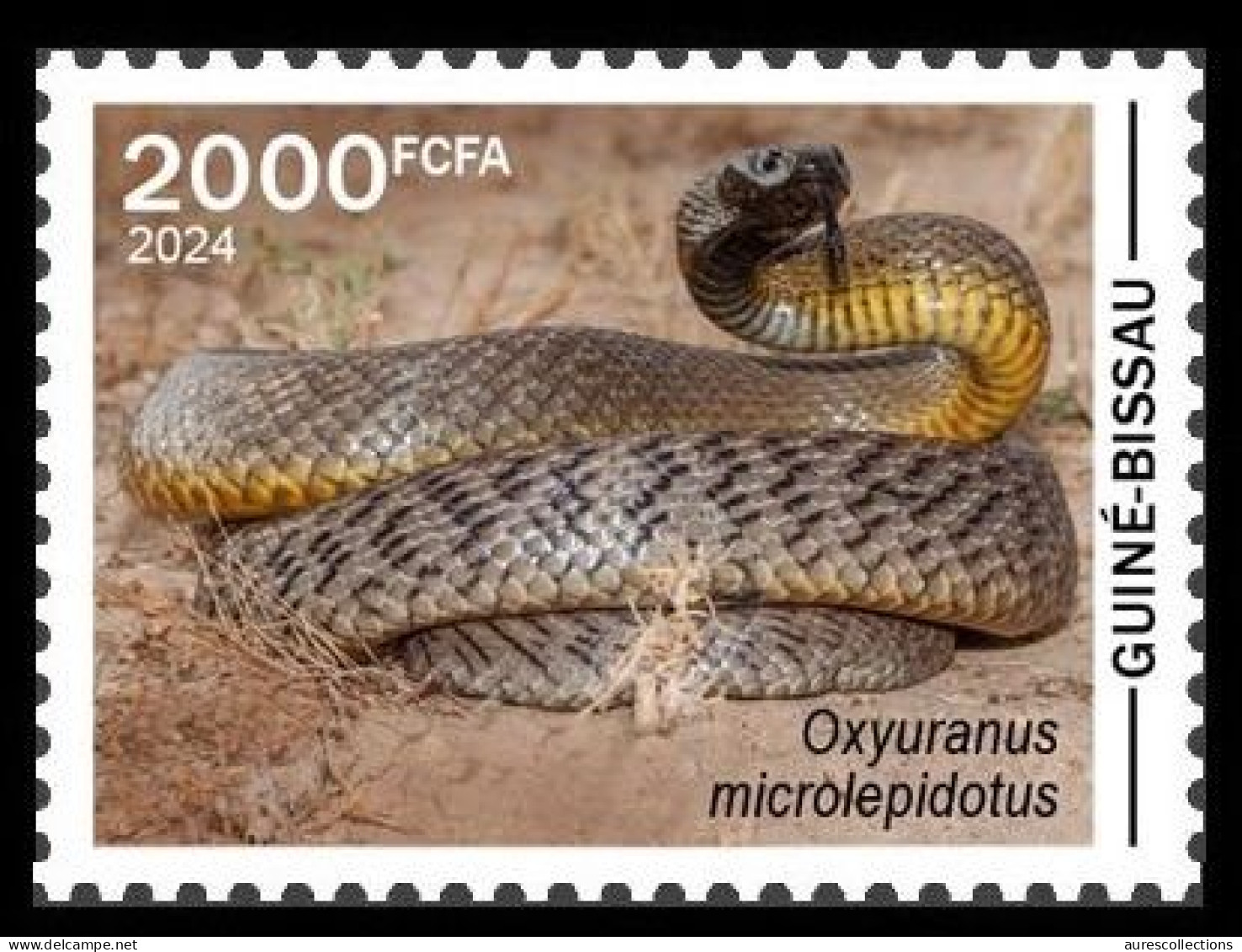 GUINEA BISSAU 2024 STAMP 1V - POISONOUS TOXIC VENOMOUS - SNAKE SNAKES SERPENT SERPENTS - MNH - Serpenti