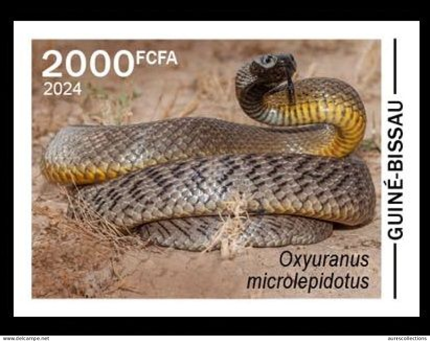 GUINEA BISSAU 2024 IMPERF STAMP 1V - POISONOUS TOXIC VENOMOUS - SNAKE SNAKES SERPENT SERPENTS - MNH - Serpenti