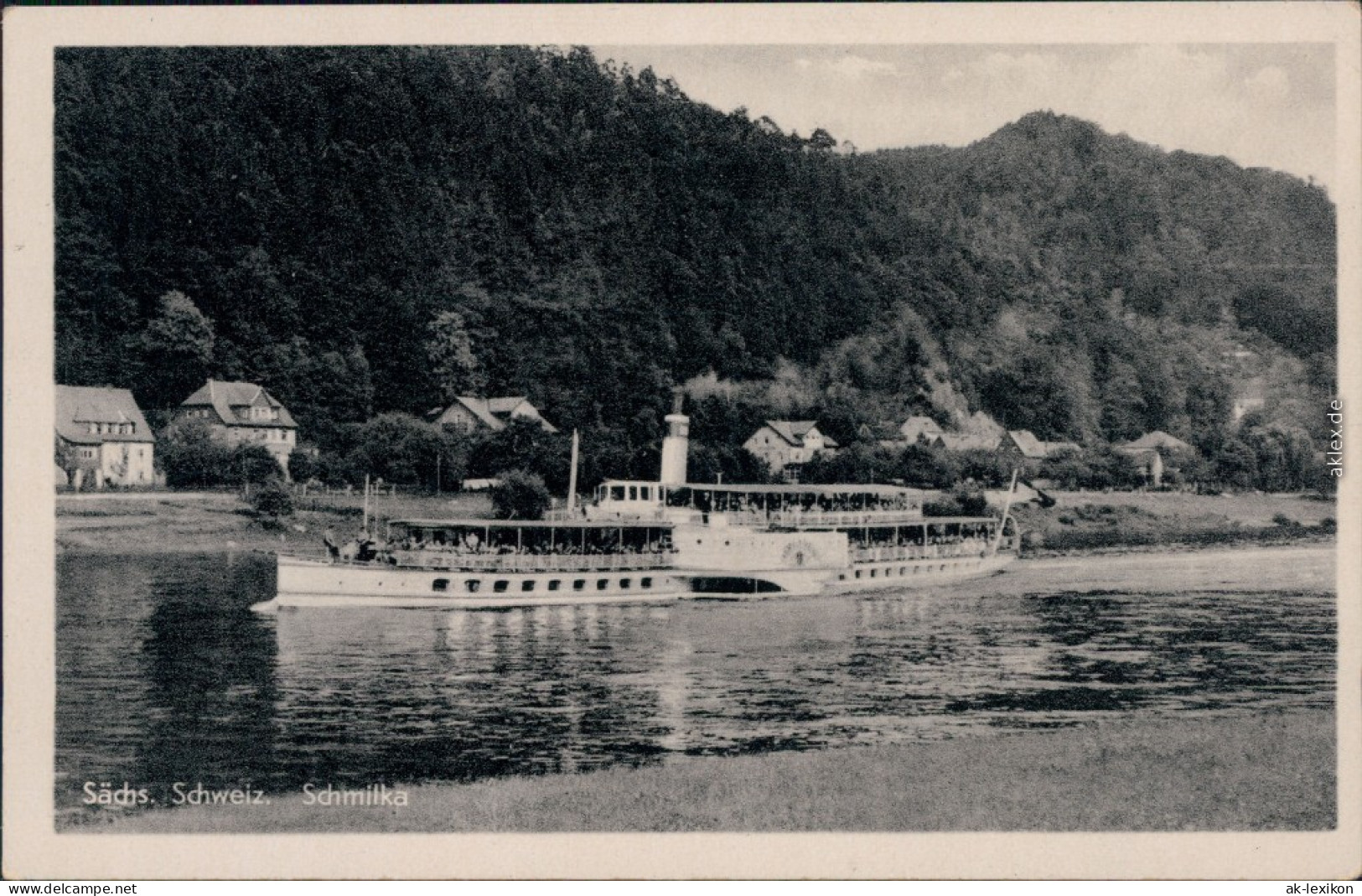 Ansichtskarte Schmilka Dampfer Vor Der Stadt 1954  - Schmilka